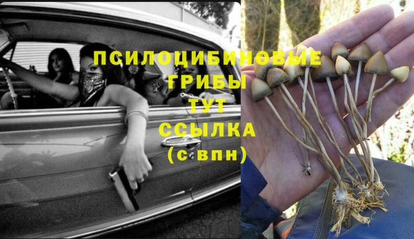 дурь Абдулино