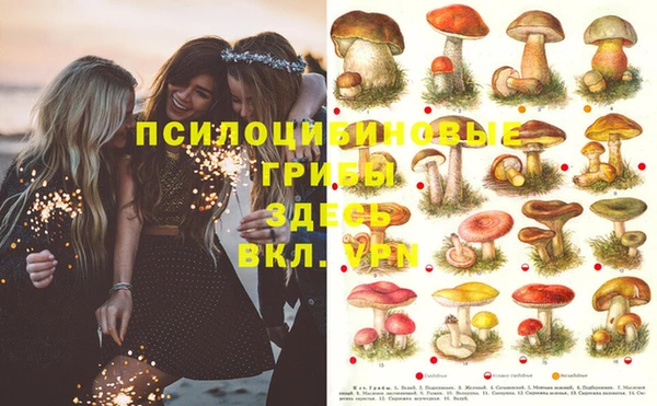 дурь Абдулино