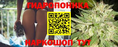 ALPHA PVP Бийск