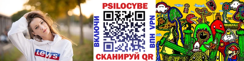 Галлюциногенные грибы Psilocybe  блэк спрут ссылки  Братск  где найти наркотики 